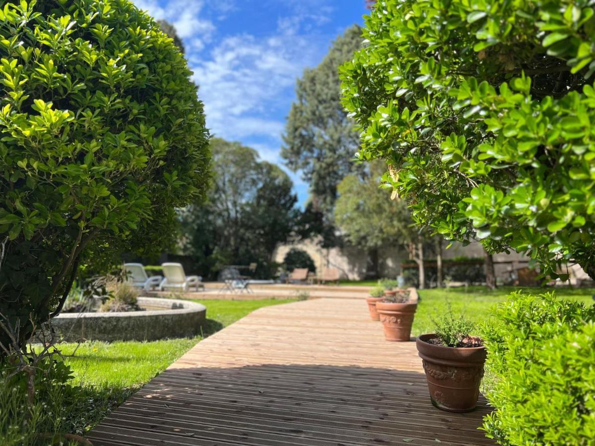 Maison Riquet كاستيلنوداري المظهر الخارجي الصورة